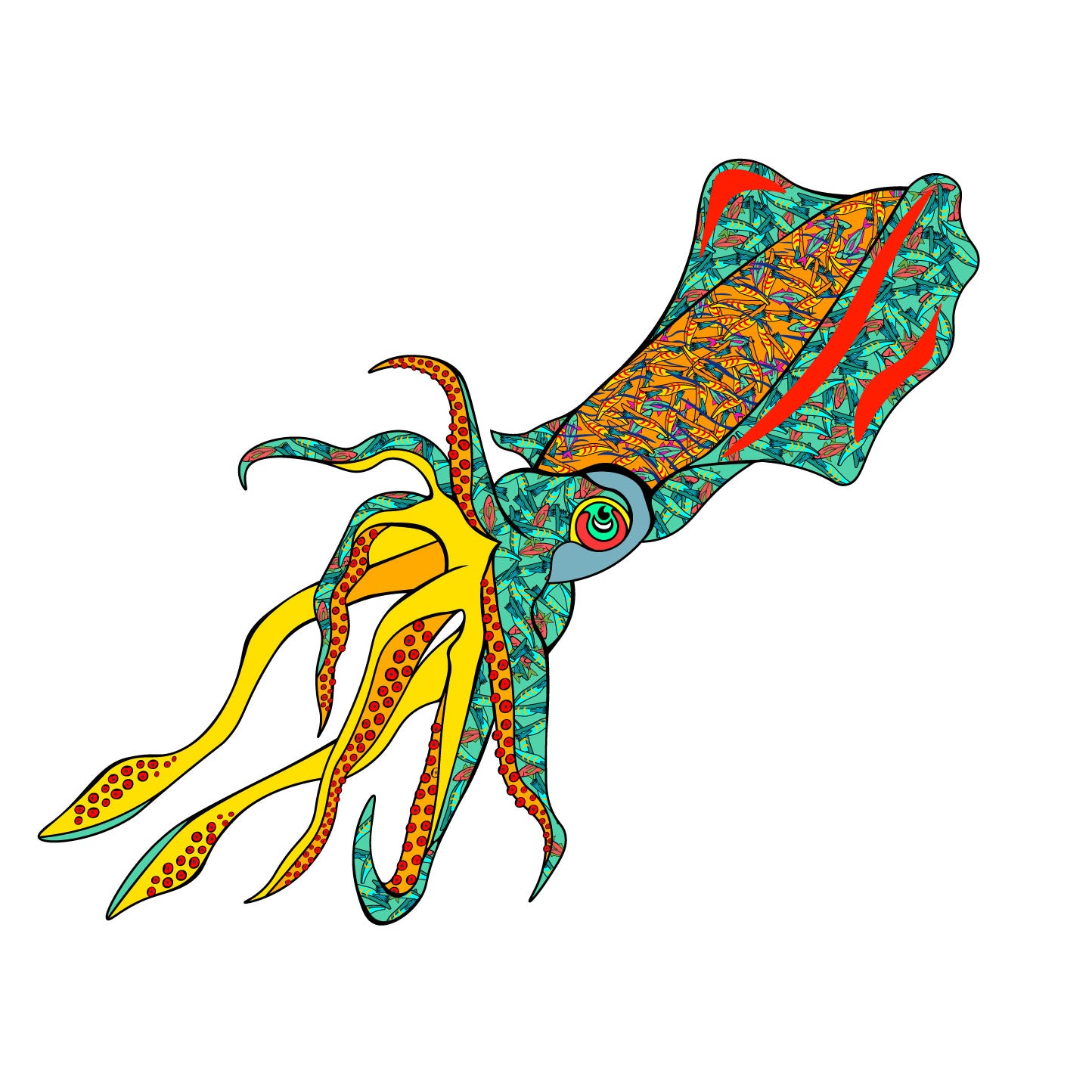 BF Sticker Bigfin Reef Squid