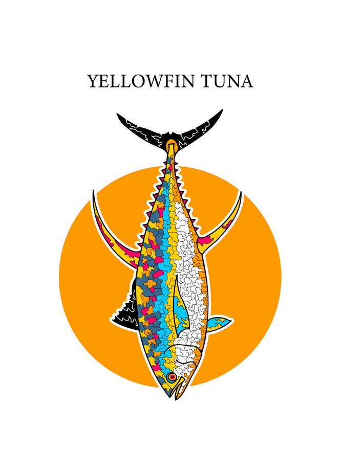 yellowfin tuna