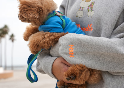 Poodle Trainer