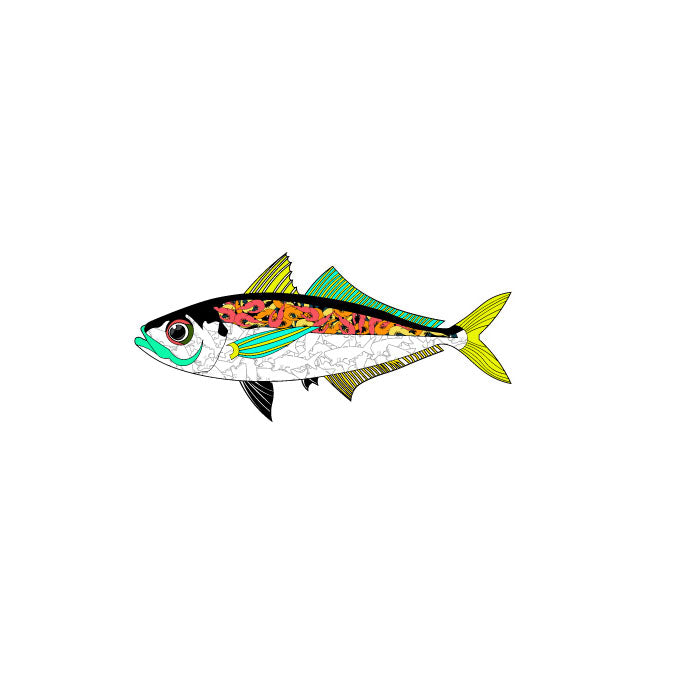 BF Sticker Horse Mackerel
