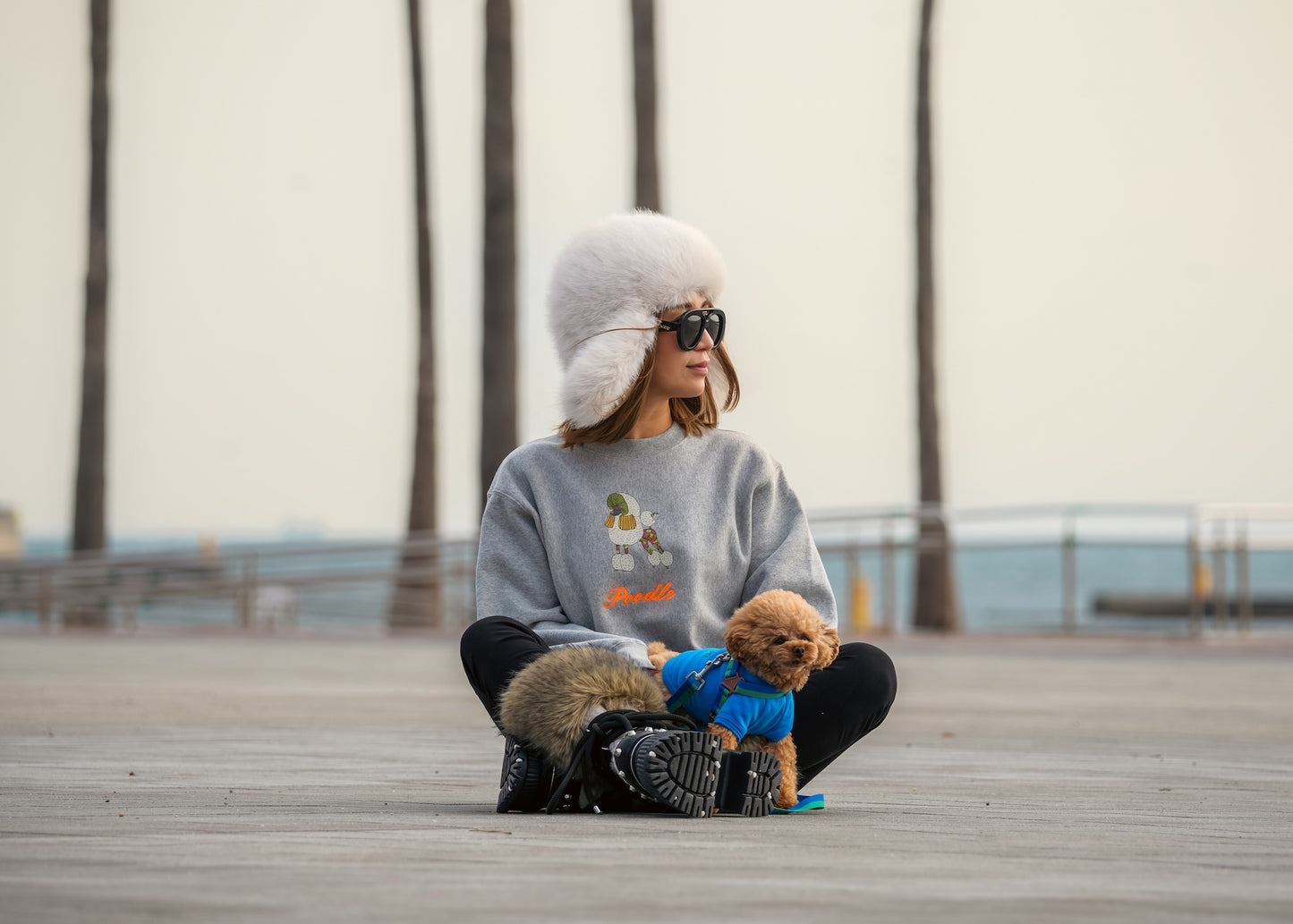 Poodle Trainer