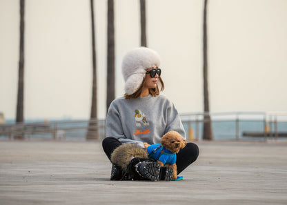 Poodle Trainer