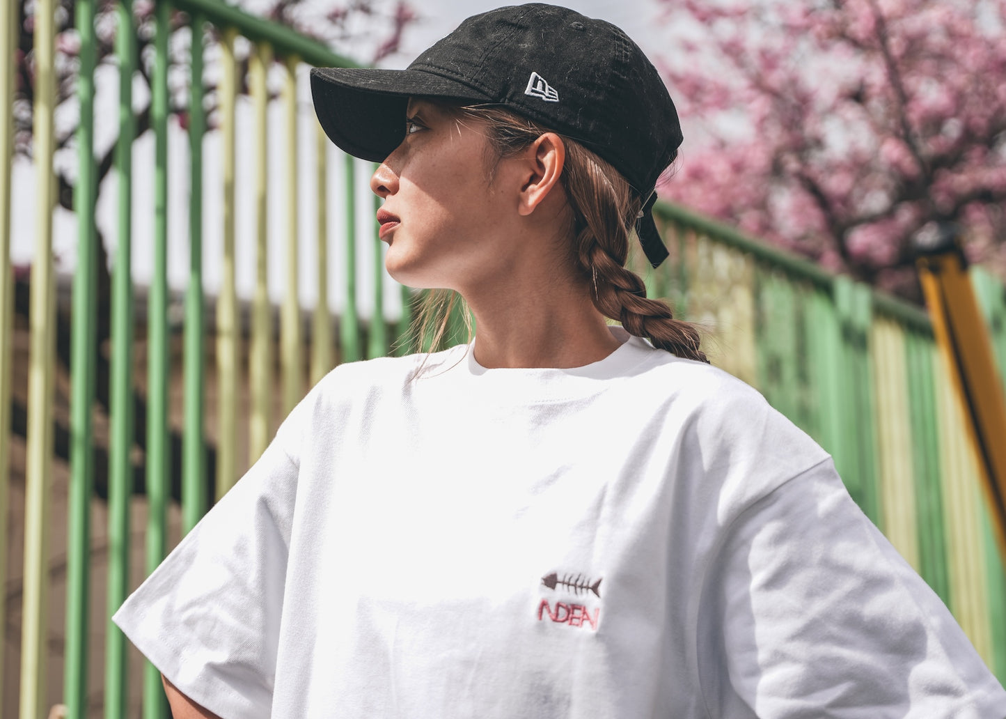 French and Horse Mackerel